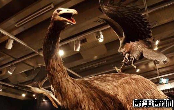 10大最奇特滅絕物種 第九長達三米 第一致死高手 附圖
