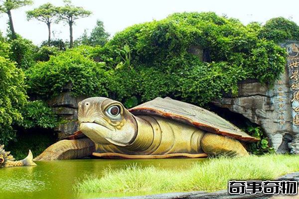 湖光巖水怪之謎 湖面游動超大黑色陰影 疑似中華鱘