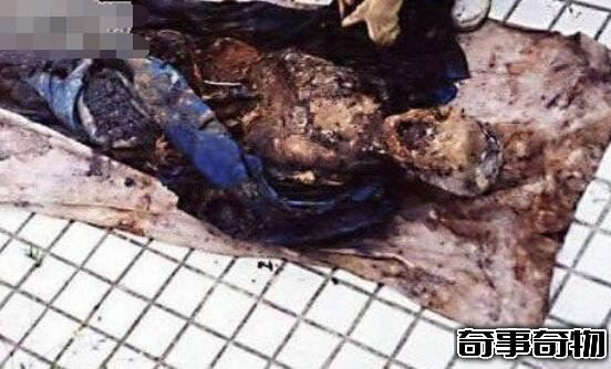 湘西定雞術 揭秘湘西民間秘術未解之謎 解讀