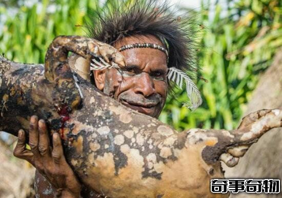 人類殺死了地球原住民 人類趕走尼安德特人后稱霸地球