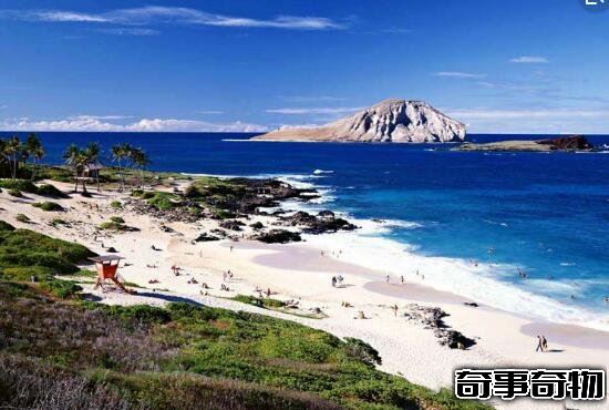 揭秘金銀島寶藏之謎 海盜埋藏的金銀財寶 太平洋可可島