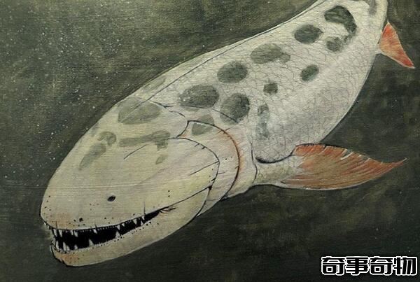 泥盆紀最兇猛的生物 含肺魚（長4米重2噸 可以單挑鄧氏魚）