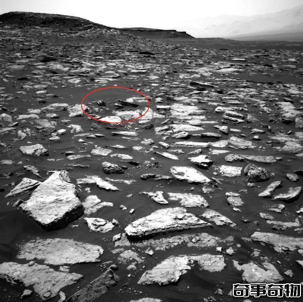 NASA網站發布的照片出現神奇物體