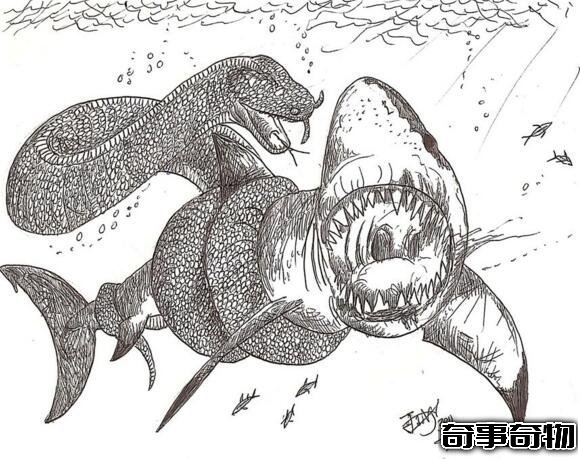 史前巨獸古杯蛇 體長10米能捕食鯊魚的巨型海蛇