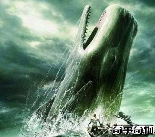 史前第一可怕巨獸 龍王鯨vs巨齒鯊誰才是最厲害的