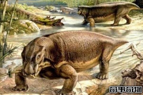 潘氏魚是人類的祖先 海陸動物的過渡物種（3.8億年的魚）
