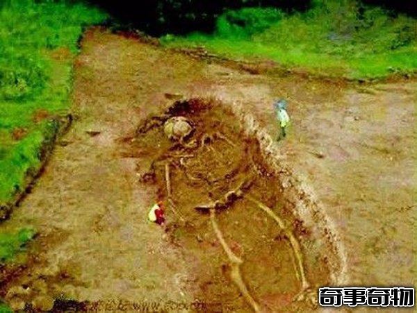 中國發現65米巨人骸骨 巨人真的存在嗎 真相揭秘