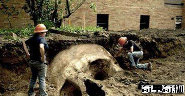 古代有巨人嗎 中外都挖出過古巨人遺骸