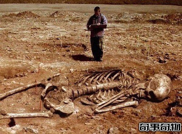 中國發現65米巨人骸骨 巨人真的存在嗎 真相揭秘