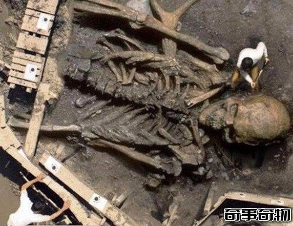 中國發現65米巨人骸骨 巨人真的存在嗎 真相揭秘