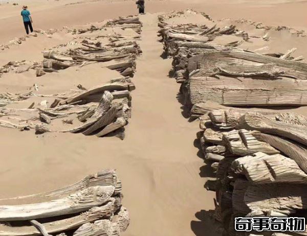 震驚世界 新疆大沙漠考古十大發現 附考古意義