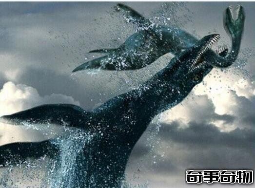 史前第一可怕巨獸 龍王鯨vs巨齒鯊誰才是最厲害的