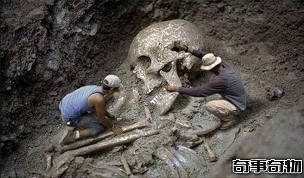 古代有巨人嗎 中外都挖出過古巨人遺骸