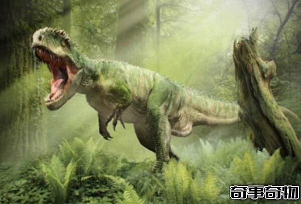 恐龍的演變過程圖 槽齒類爬行動-恐龍-鳥類（滅絕加速人類進化）