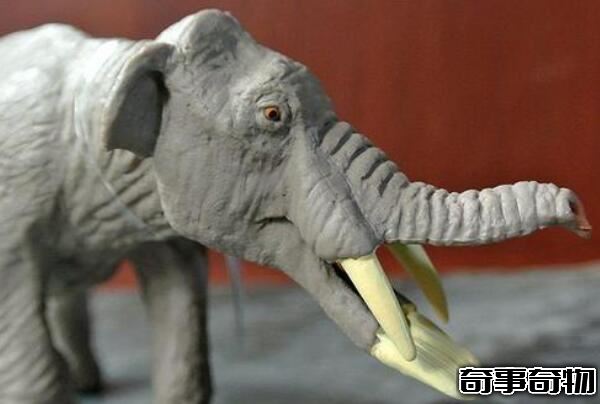 板齒象滅絕的原因 生存環境發生巨變（草原取代森林）