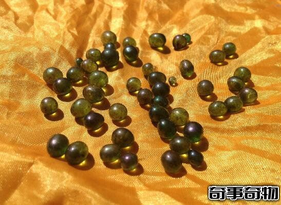 舍利子是什么東西 舍利子是什么樣子的 圖片