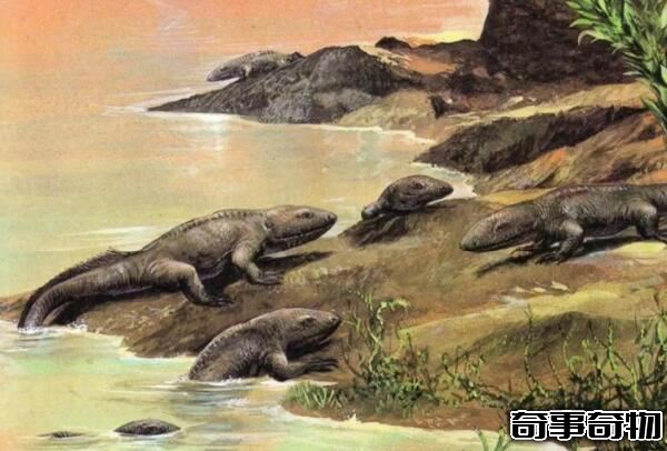 地球上最早的兩棲類動物 魚石螈（使人類可以呼吸氧氣）