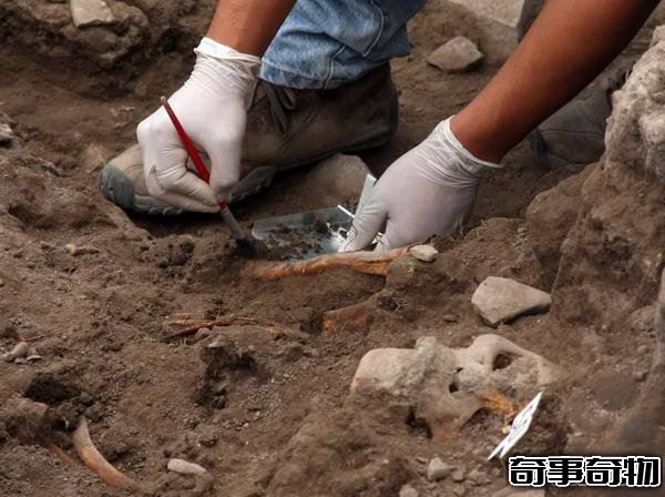考古有什么用 考古已經證明哪些歷史事件