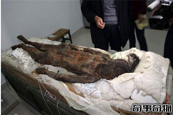 契丹女尸千年鳳棺之謎 契丹女尸的墓是怎樣被發現的
