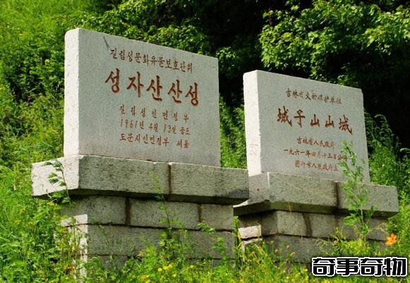 盜墓筆記九龍抬尸棺 東夏國萬奴王的巨型蚰蜓棺
