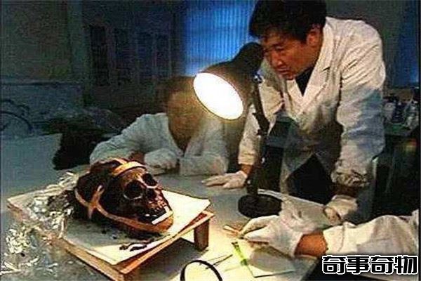契丹女尸千年鳳棺之謎 契丹女尸的墓是怎樣被發現的