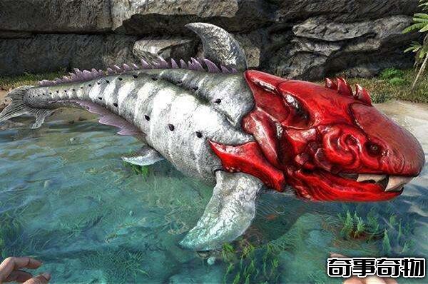 鯊魚的祖先恐魚 5億年前的海洋霸主（體長8-11米）