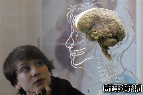 NASA網站發布的照片出現神奇物體