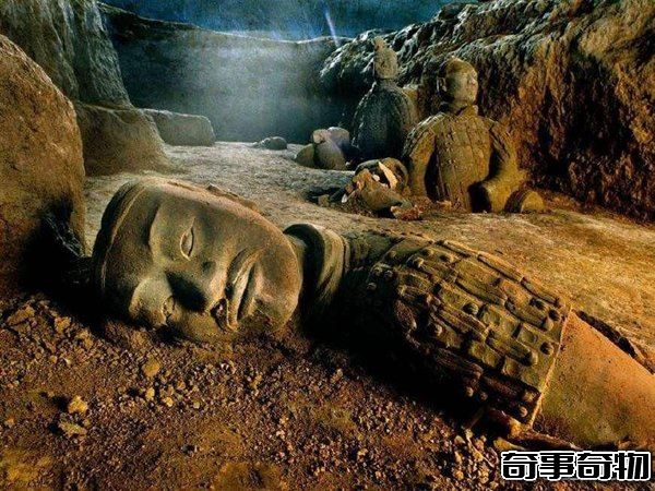 秦始皇祖母陵驚現一物 確認為已滅絕新物種遺骸