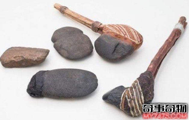 世界上最古老的斧頭50000年歷史