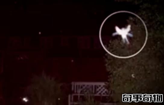考古學家透露秦始皇陵內藏奇怪生物 所以一直不敢挖掘