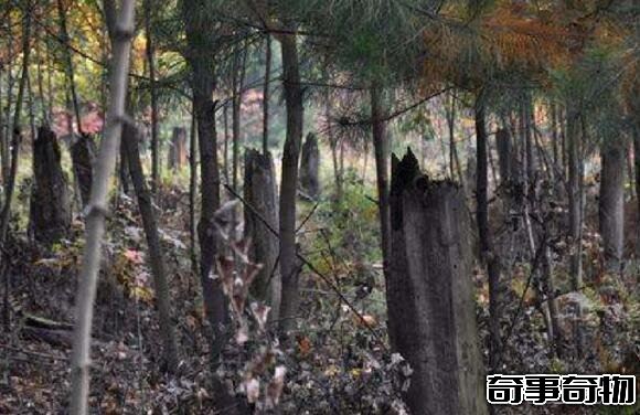 6000年前什么證據可以證明外星人的存在