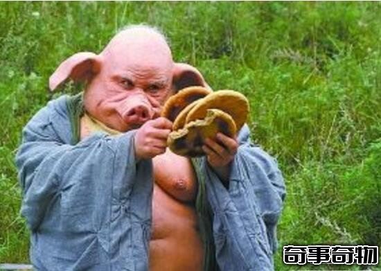 豬八戒墓在哪里 河南洛陽發現豬八戒陵墓 真實圖片曝光
