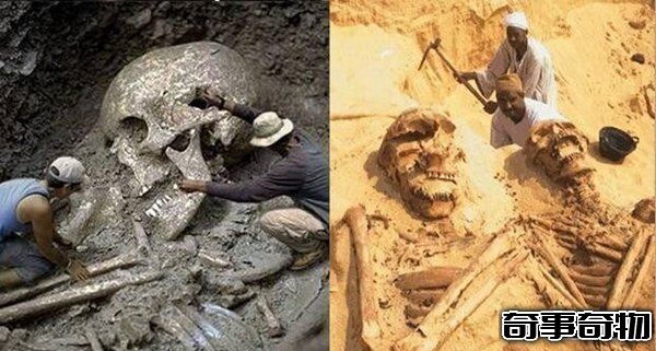 中國發現65米巨人骸骨 巨人真的存在嗎 真相揭秘