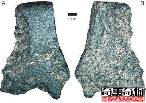 世界上最古老的斧頭50000年歷史