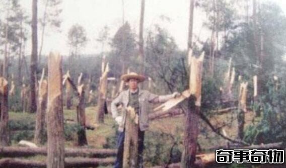 6000年前什么證據可以證明外星人的存在