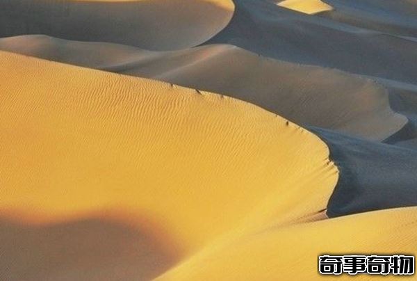 震驚世界 新疆大沙漠考古十大發現 附考古意義