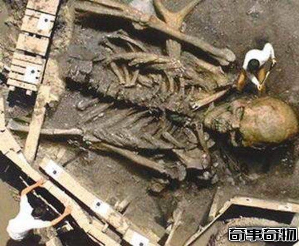 古代有巨人嗎 中外都挖出過古巨人遺骸