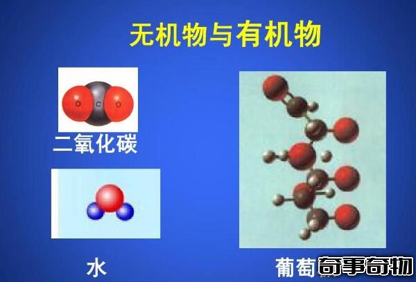 有機物和無機物的區別 有機物含碳元素（無機物不含碳元素）
